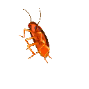 TBP_Cockroach_dance Discord emoji