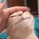 keetoheadpat