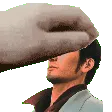 kiryu_pet