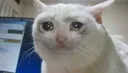 sad