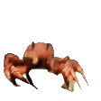 CrabRave
