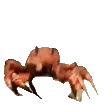 CrabRave