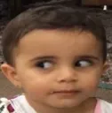 arb
