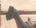 4laprasderp