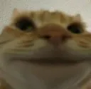 yes