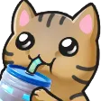 CatDrink