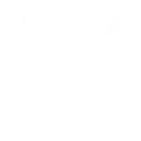 introbot