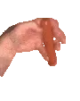 doghot