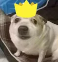 KingBoom