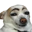 emoji_nyx
