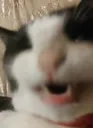 hehehe