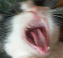 AAAAAAAAAA