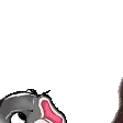 KissAPogFishHomie KissAPogFishHomie