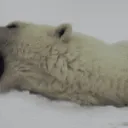 BooooooooringBAER BooooooooringBAER