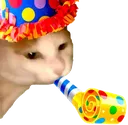 kittyparty