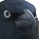 Judgement Discord emoji