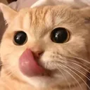 catlick