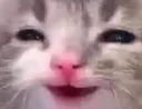 hehe