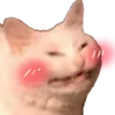 Catcat catcat Discord Emoji