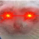 SuperSadCatto SuperSadCatto