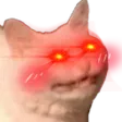 SuperBlushingCatto