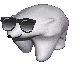 coolpolarbear