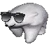 coolpolarbear