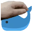 PETTHEWHALE