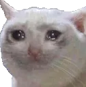 Merricat