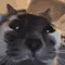closeup2