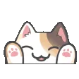 A_catHIYA A_catHIYA