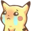 pikacry