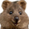 oknowstfu Discord emoji