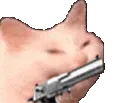 catbang