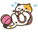 z_kittykickhyper