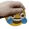 lmaopet