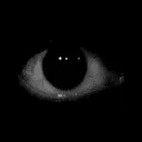 EYE EYE