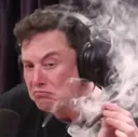 elonperhaps