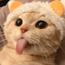 TDK_CatTongueOwO