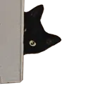 Kittypeek kittypeek Discord Emoji