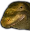 Pepe