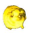 PugExtraHyper