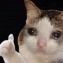 thumbs_up_cat_crying