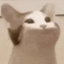SmileCat