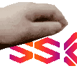 pet_ssx