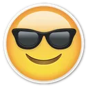 Sunglass