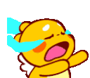 cryrun