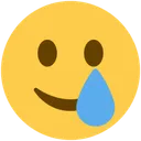 slight_smile_tear