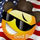 godblesstheusasunglasses