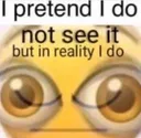 pretendtonotsee